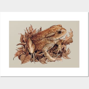 Autumn Toad Posters and Art